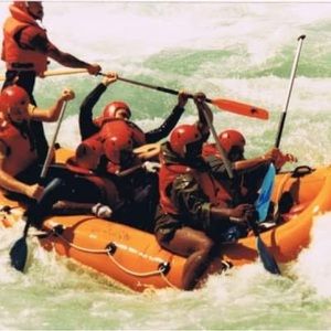 Meet your Posher, Cecil